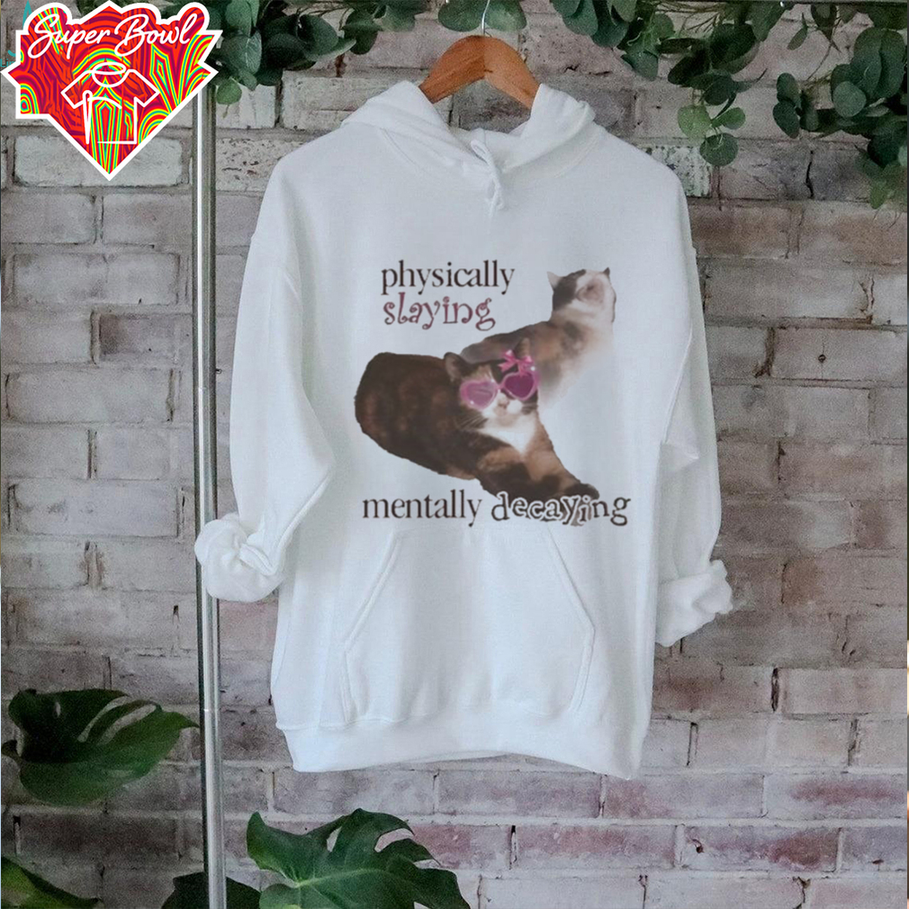 Snazzyseagull physically slaying mentally decaying shirt Snazzyseagull physically slaying mentally decaying shirt